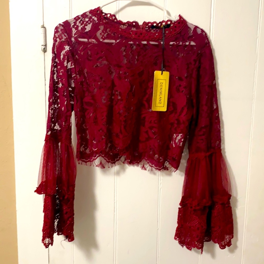 Merlot Lace Crop Top with Bell Sleeves